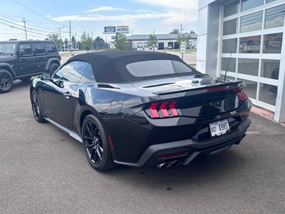2025 Ford MUST NA